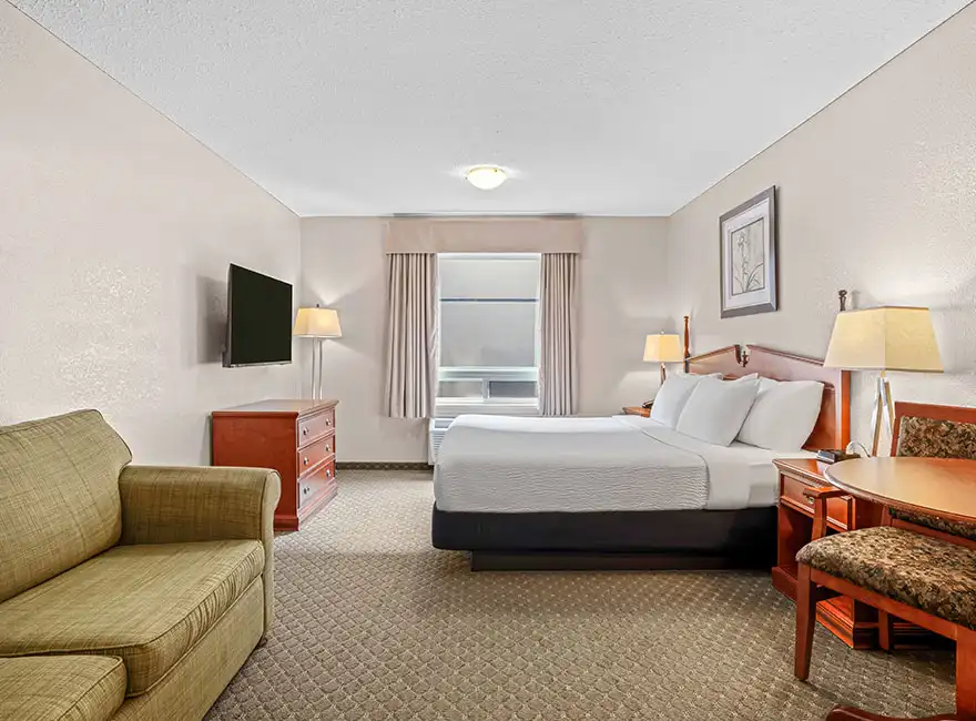 Executive Suite