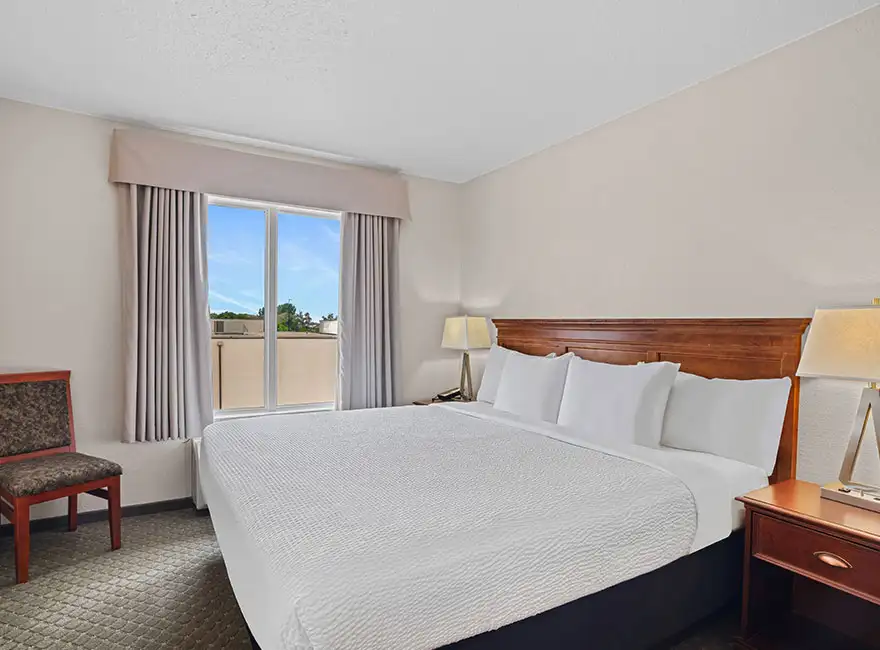 Large Family Suite